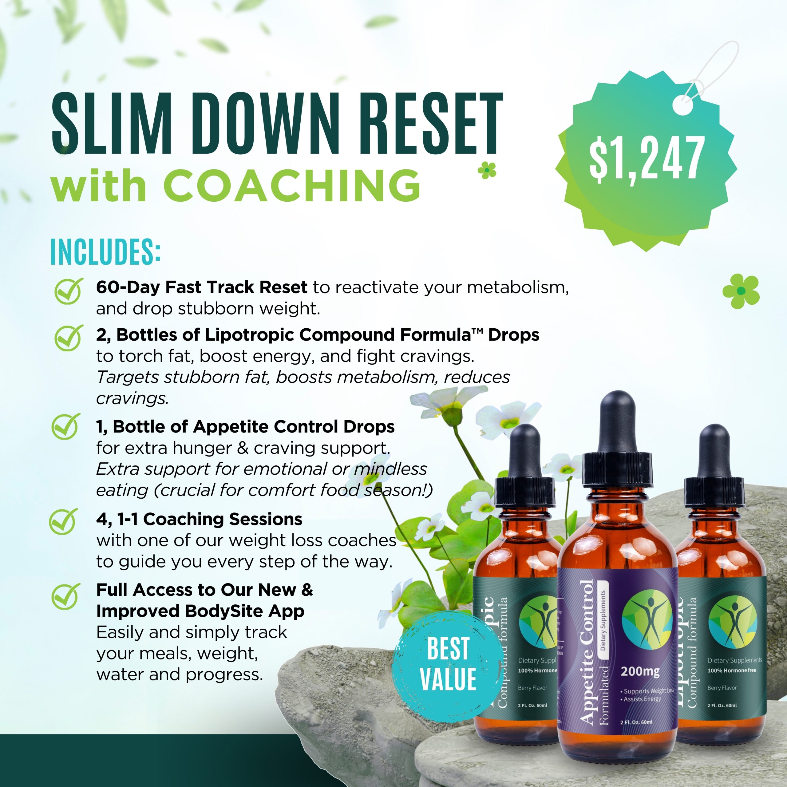 Slim Down Reset - With Coaching